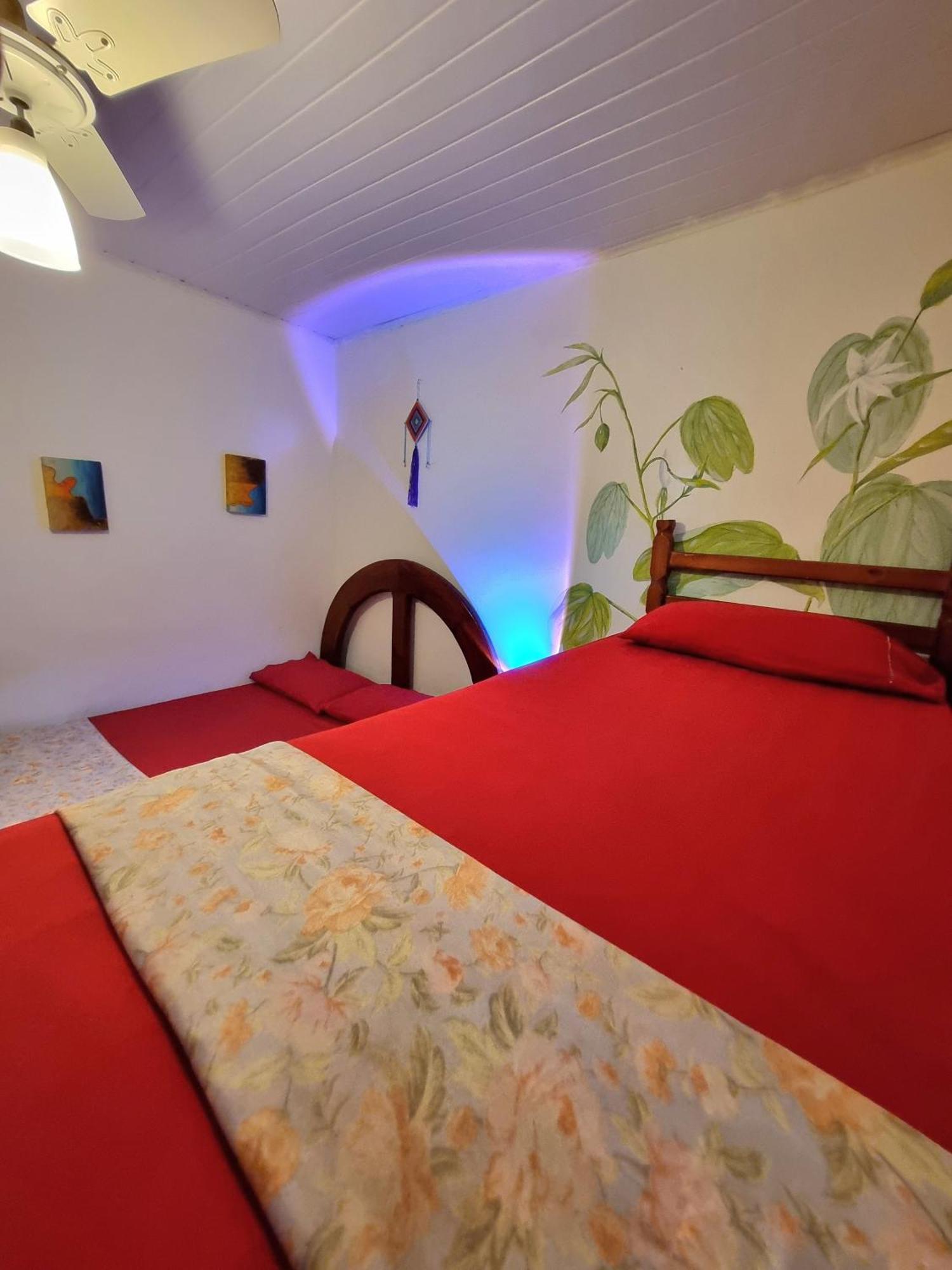 Jurema Hostel Itacaré Extérieur photo